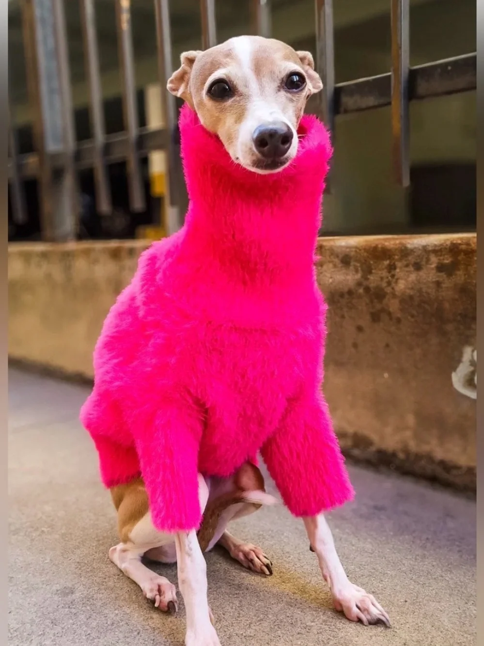 FURB Bobbi Hot Pink Eyelash Knit Dog Sweater Cozy Cowl Neck Soft Puppy Pet Large