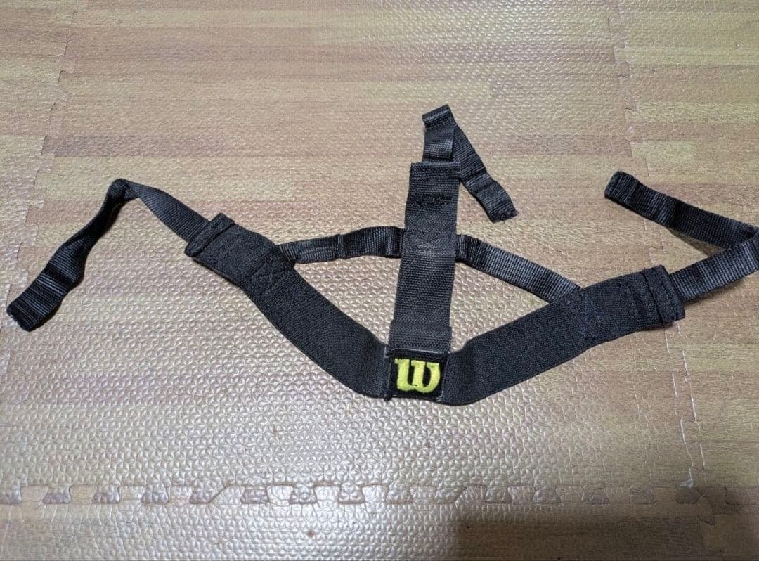 Wilson Harness for Mask